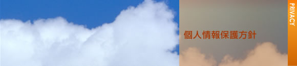 �Ŀ;����ݸ�����